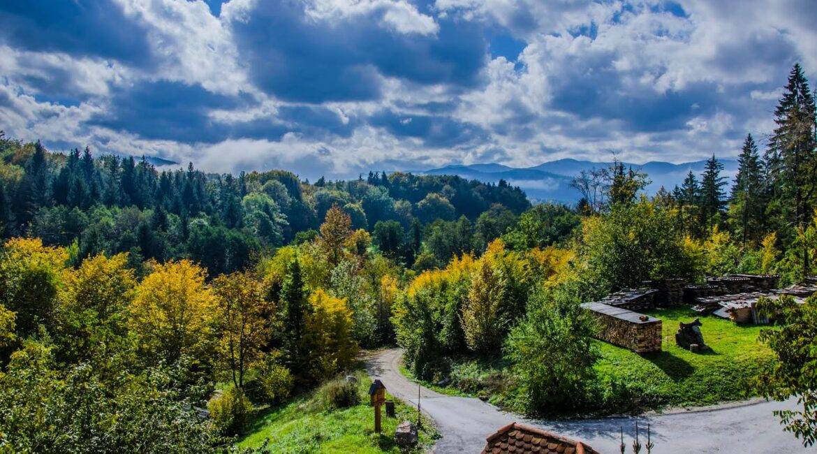 Tara canyon and breath-taking north of Montenegro (whole day) - Thursday